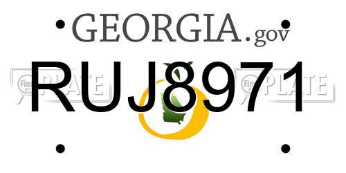 RUJ8971 Georgia License Plate