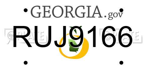 RUJ9166 Georgia License Plate