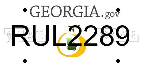 RUL2289 Georgia License Plate
