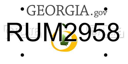 RUM2958 Georgia License Plate