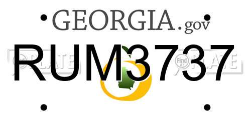 RUM3737 Georgia License Plate