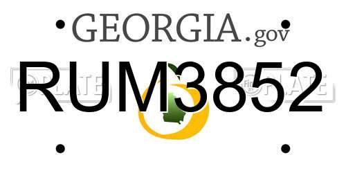 RUM3852 Georgia License Plate