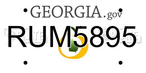 RUM5895 Georgia License Plate
