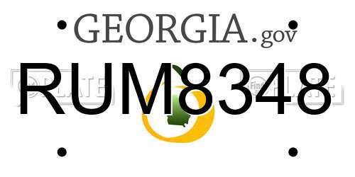 RUM8348 Georgia License Plate