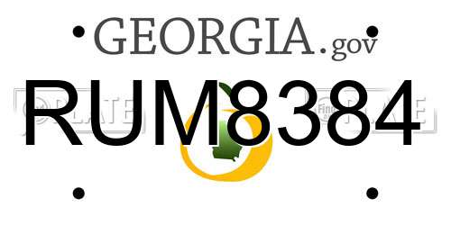 RUM8384 Georgia License Plate