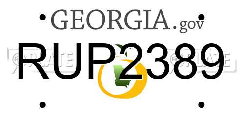 RUP2389 Georgia License Plate
