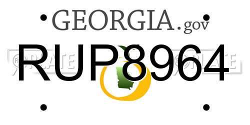 RUP8964 Georgia License Plate