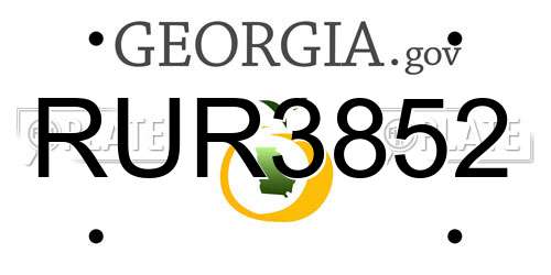 RUR3852 Georgia License Plate