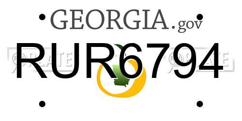 RUR6794 Georgia License Plate