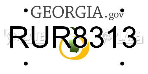 RUR8313 Georgia License Plate