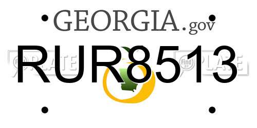 RUR8513 Georgia License Plate