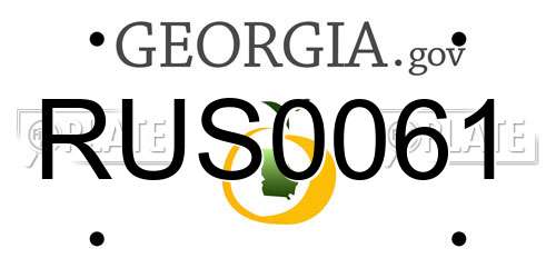 RUS0061 Georgia License Plate