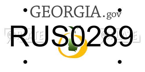 RUS0289 Georgia License Plate