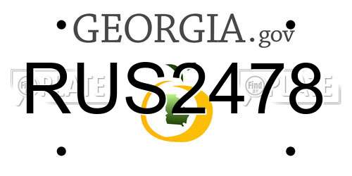 RUS2478 Georgia License Plate
