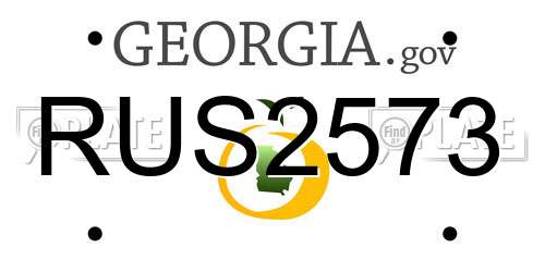RUS2573 Georgia License Plate