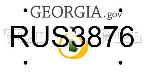 RUS3876 Georgia License Plate