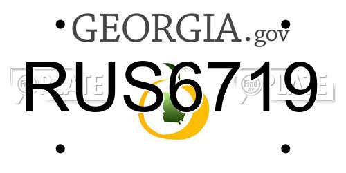 RUS6719 Georgia License Plate