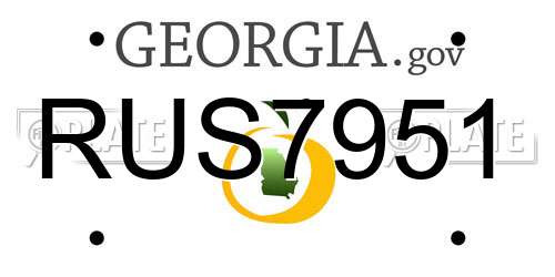 RUS7951 Georgia License Plate
