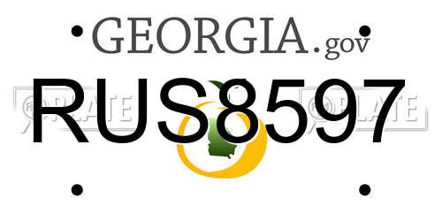 RUS8597 Georgia License Plate