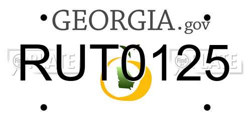 RUT0125 Georgia License Plate