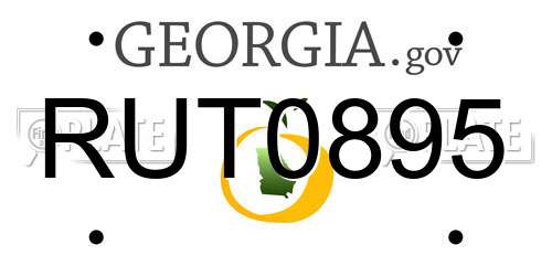 RUT0895 Georgia License Plate