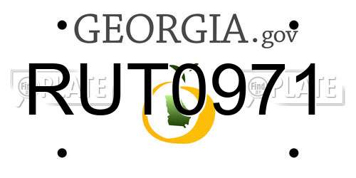 RUT0971 Georgia License Plate