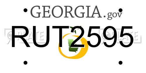RUT2595 Georgia License Plate
