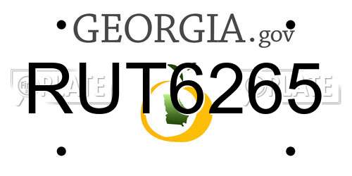 RUT6265 Georgia License Plate