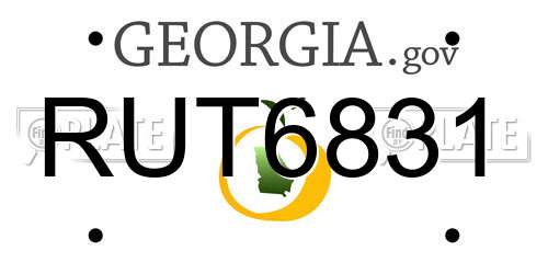 RUT6831 Georgia License Plate