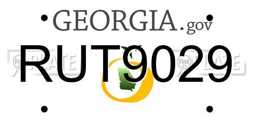 RUT9029 Georgia License Plate