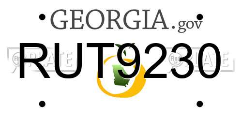 RUT9230 Georgia License Plate