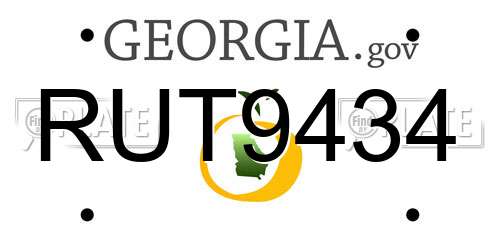 RUT9434 Georgia License Plate