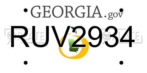 RUV2934 Georgia License Plate