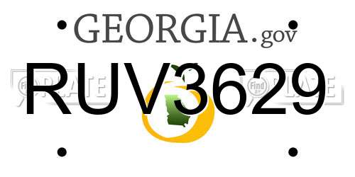 RUV3629 Georgia License Plate