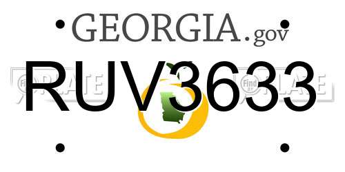 RUV3633 Georgia License Plate