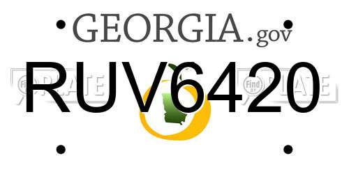 RUV6420 Georgia License Plate