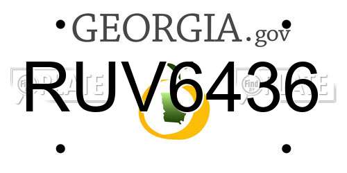 RUV6436 Georgia License Plate