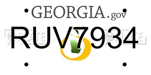 RUV7934 Georgia License Plate