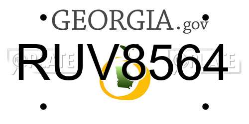 RUV8564 Georgia License Plate