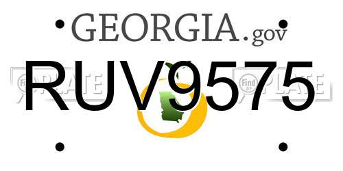 RUV9575 Georgia License Plate
