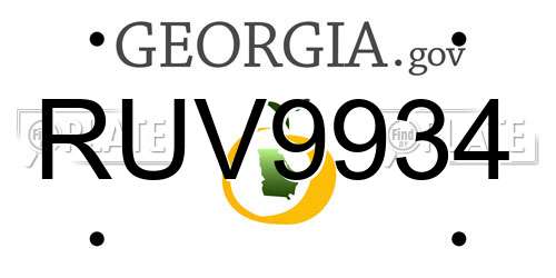 RUV9934 Georgia License Plate