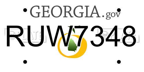 RUW7348 Georgia License Plate