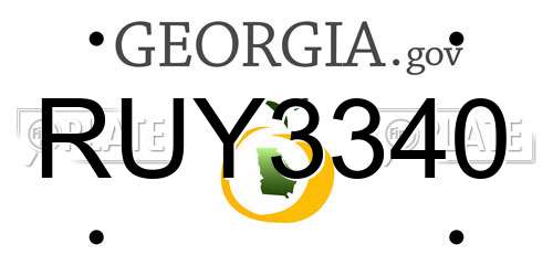 RUY3340 Georgia License Plate