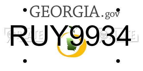 RUY9934 Georgia License Plate