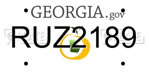RUZ2189 Georgia License Plate