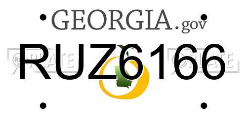 RUZ6166 Georgia License Plate