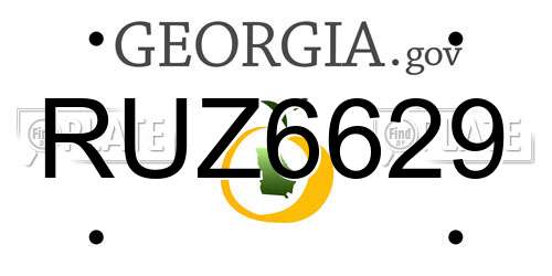 RUZ6629 Georgia License Plate