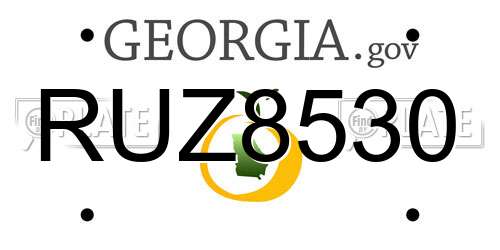 RUZ8530 Georgia License Plate