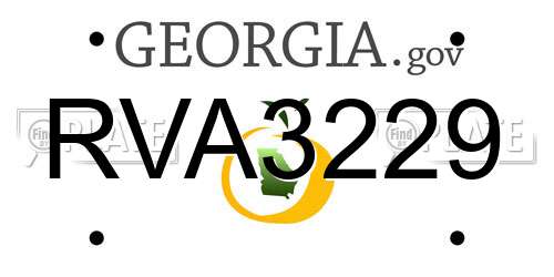 RVA3229 Georgia License Plate