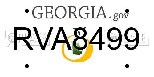 RVA8499 Georgia License Plate